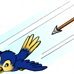 Tir à l'Oiseau 2027